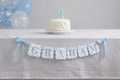 Boy Gingham Nursery Name Banner (Letter Set)